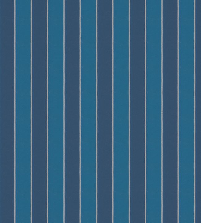Robberg Fabric by Warwick Azure