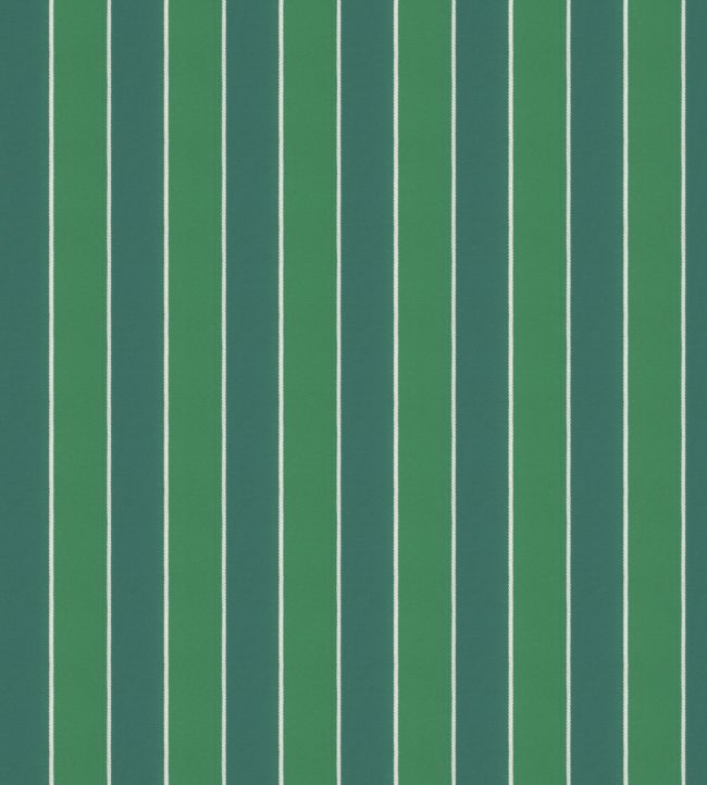 Robberg Fabric by Warwick Palm