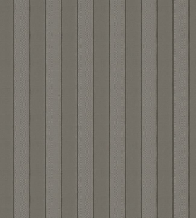 Robberg Fabric by Warwick Rock