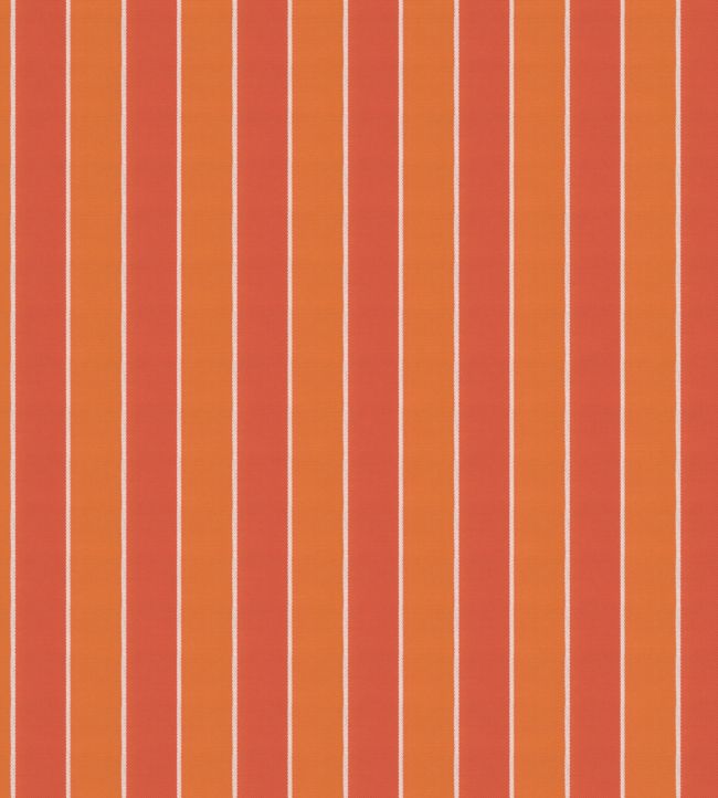 Robberg Fabric by Warwick Tangerine