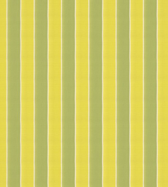 Robberg Fabric by Warwick Zest