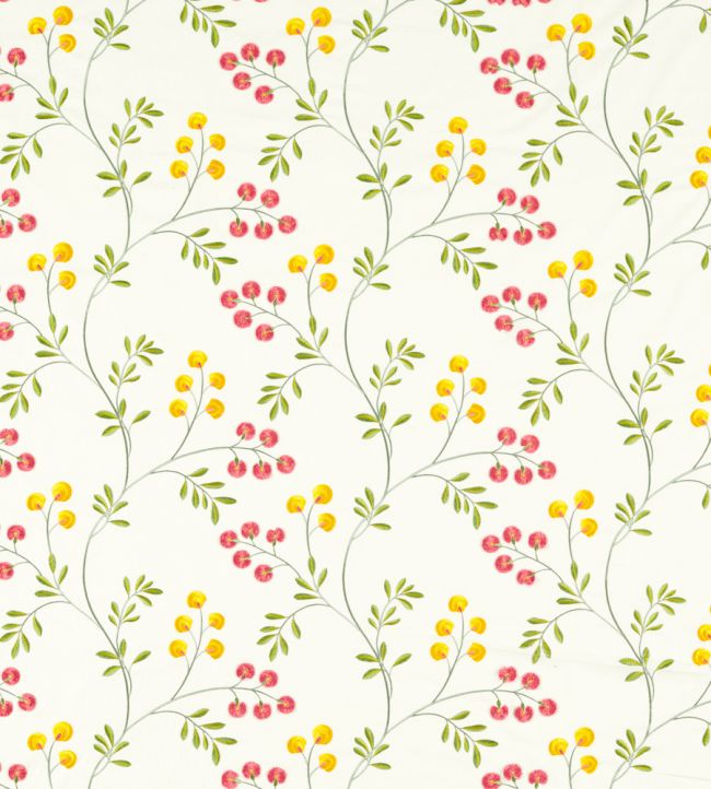 Rochelle Fabric by Clarke & Clarke Summer