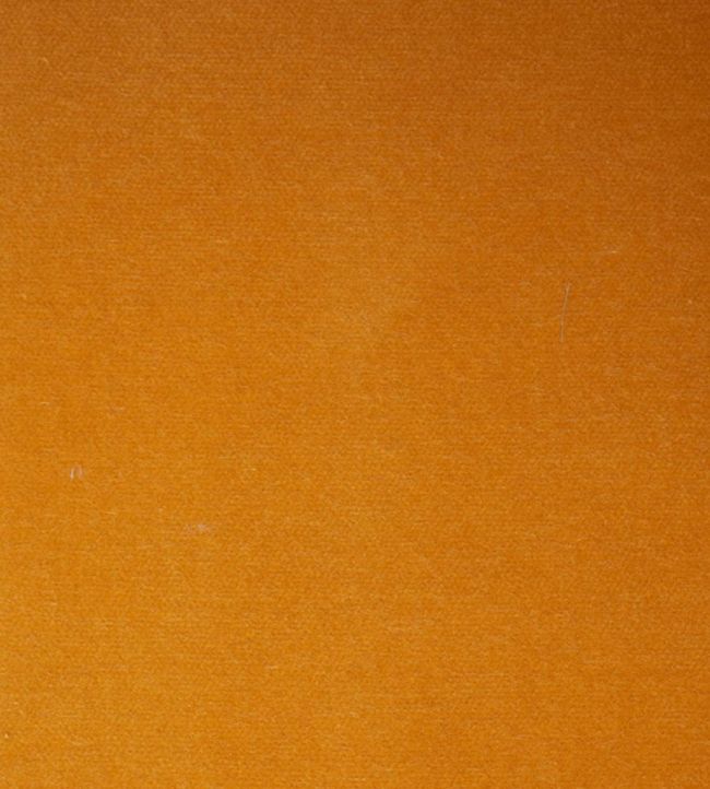 Rocky Performance Velvet Fabric by Schumacher Marigold