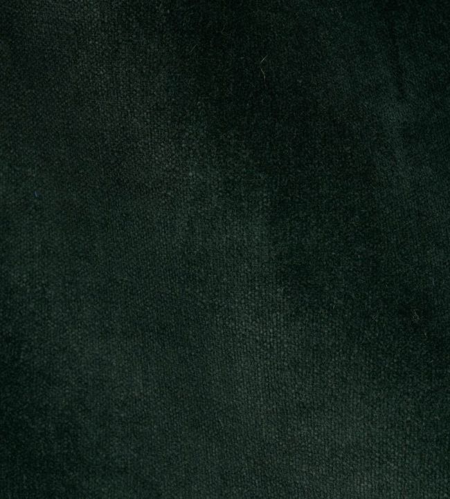 Rocky Performance Velvet Fabric by Schumacher Pine