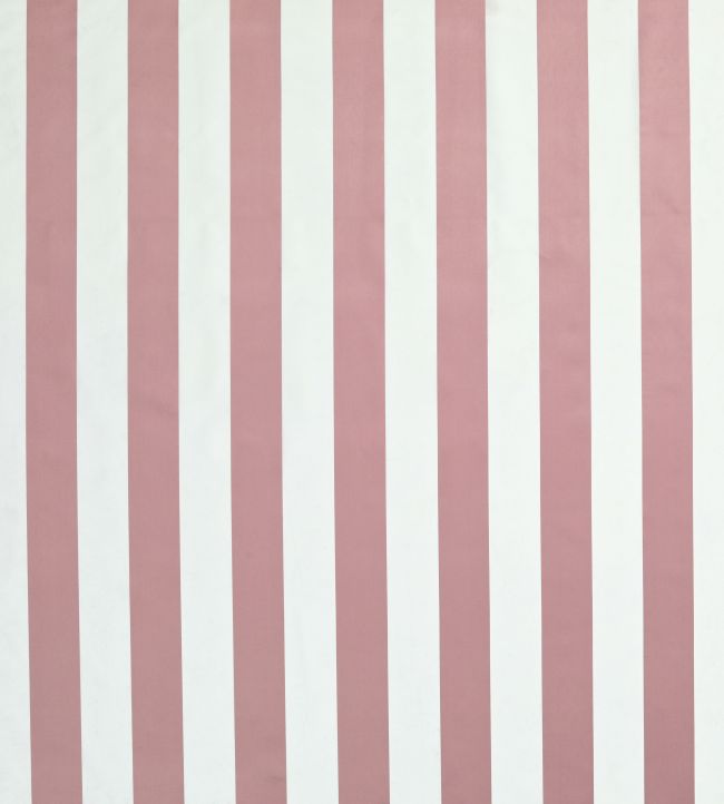 Rococo Stripe Fabric by James Hare Fawn Pink