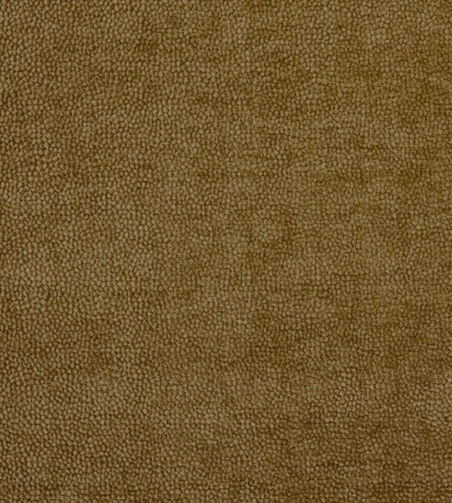 Rodin Fabric by Prestigious Textiles Citrus