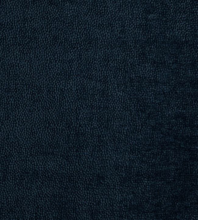 Rodin Fabric by Prestigious Textiles Ink