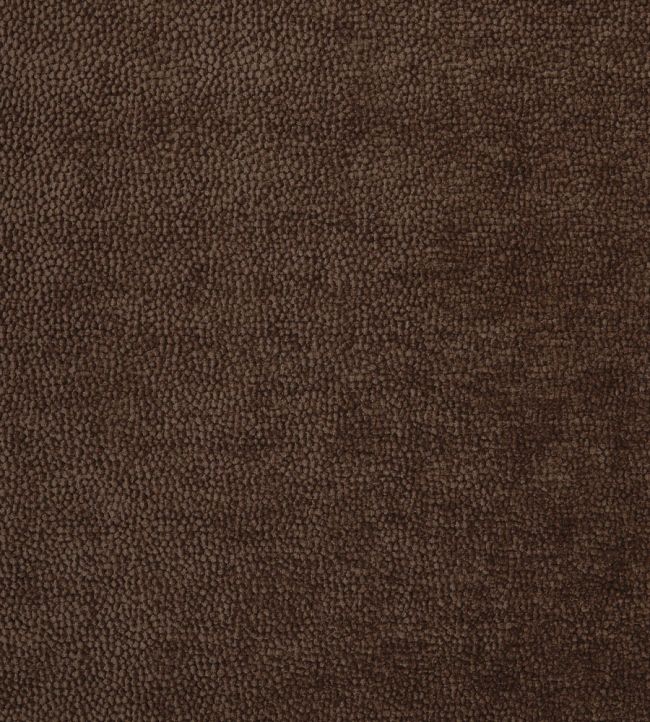 Rodin Fabric by Prestigious Textiles Toffee