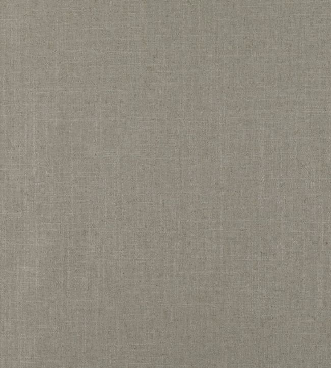 Asuri Fabric by Romo Feather Grey
