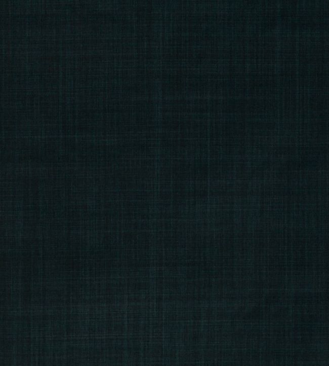 Dune Fabric by Romo Ebony
