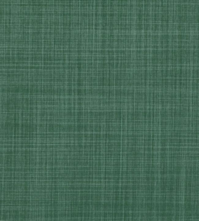 Dune Fabric by Romo Ivy