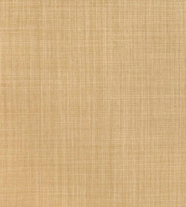 Dune Fabric by Romo Toffee