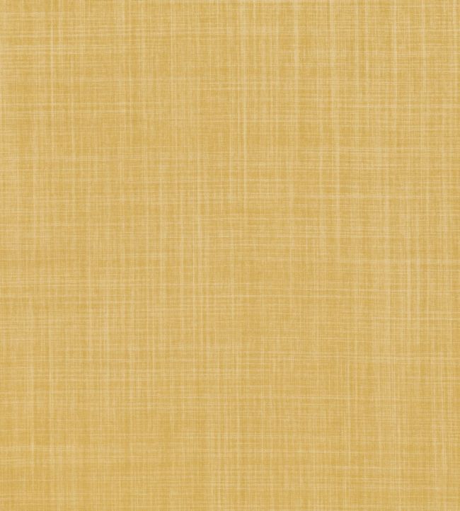 Dune Fabric by Romo Iora