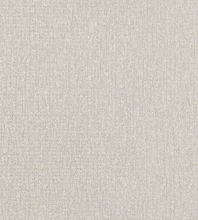 Edie Wallpaper by Romo Silver Birch