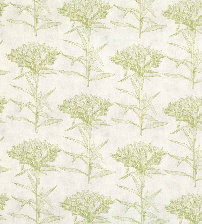 Oriana Fabric by Romo Cypress