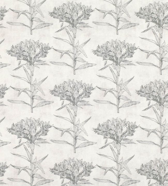 Oriana Fabric by Romo Granite