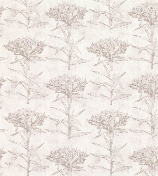 Oriana Fabric by Romo Chamois