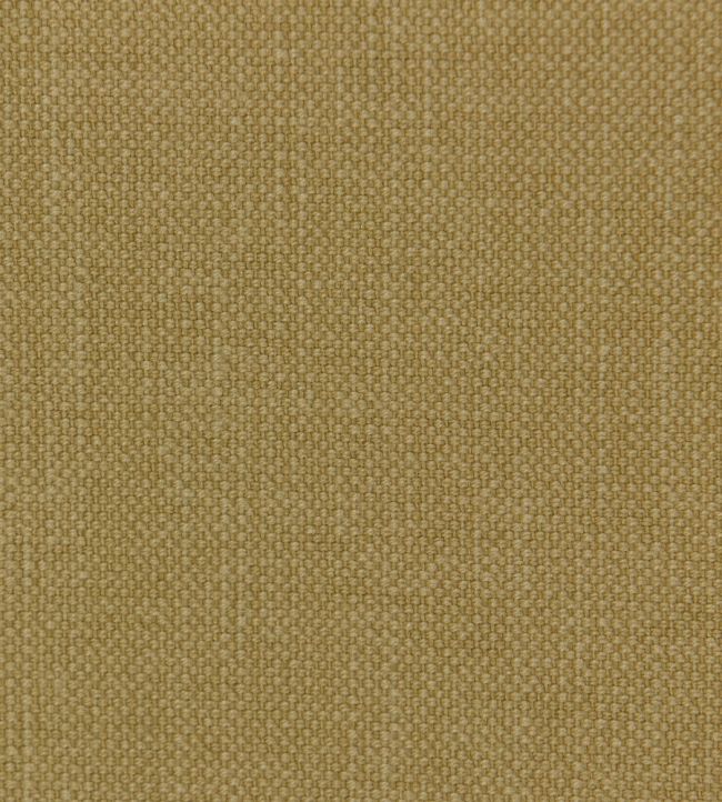 Linara Fabric by Romo Fudge