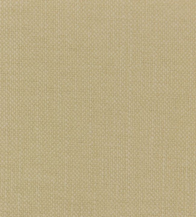 Linara Fabric by Romo Butterbean