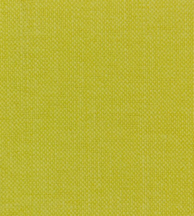 Linara Fabric by Romo Zest