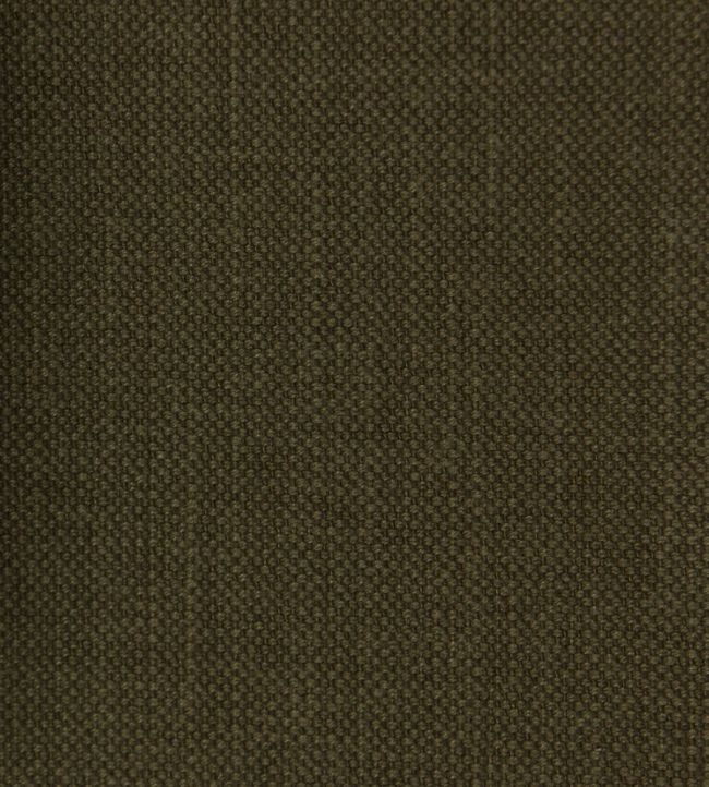 Linara Fabric by Romo Earth