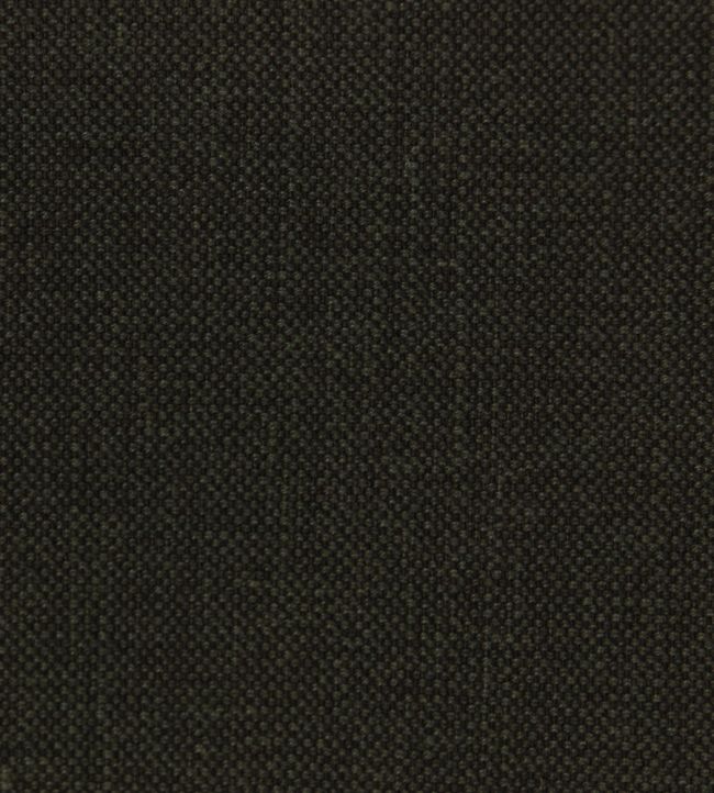 Linara Fabric by Romo Nori