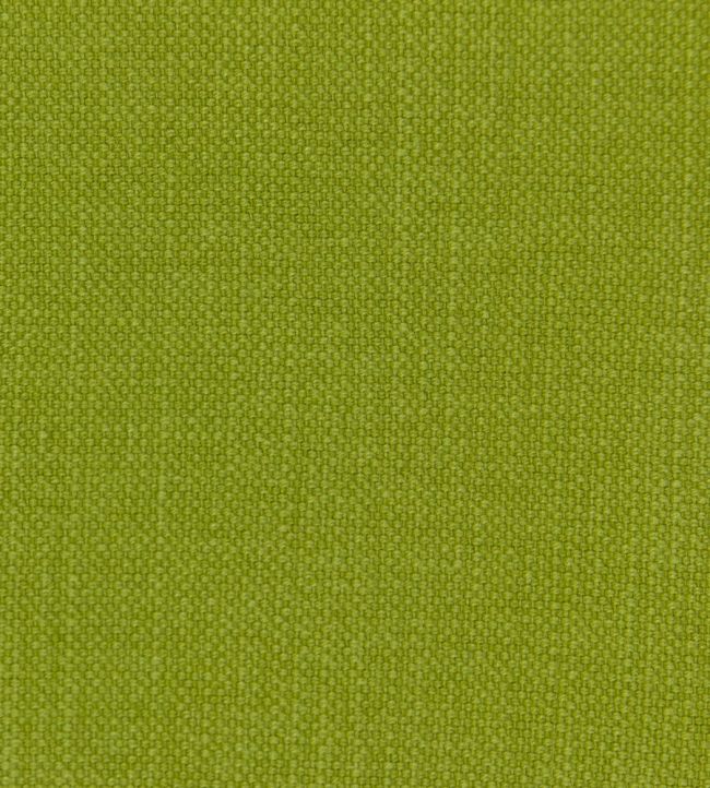 Linara Fabric by Romo Basil