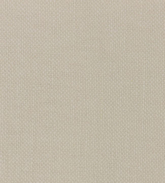 Linara Fabric by Romo Arborio