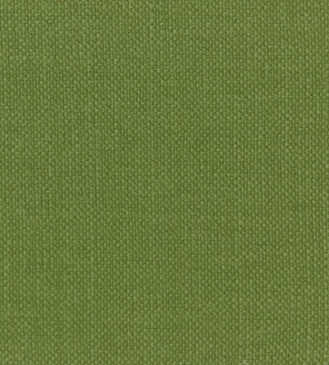Linara Fabric by Romo Kiwi