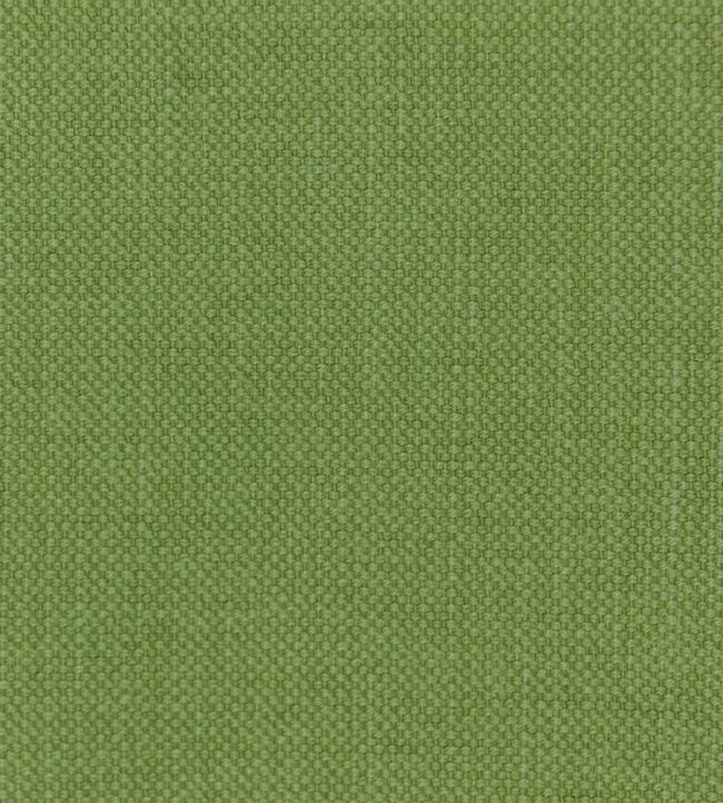 Linara Fabric by Romo Oregano