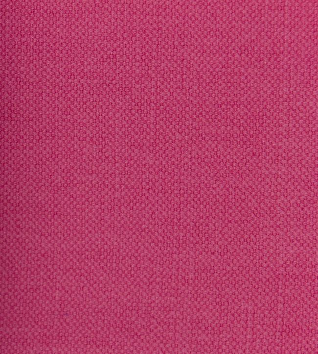 Linara FR Fabric by Romo Camellia