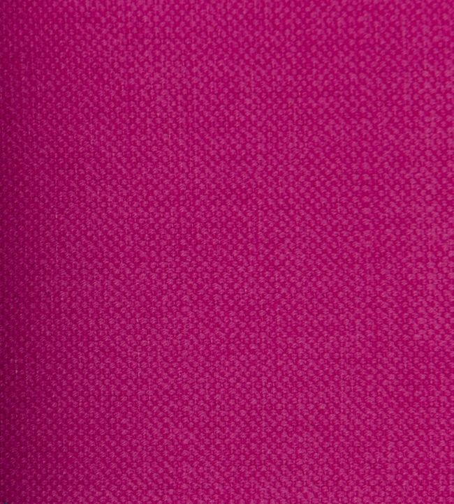 Linara FR Fabric by Romo Begonia