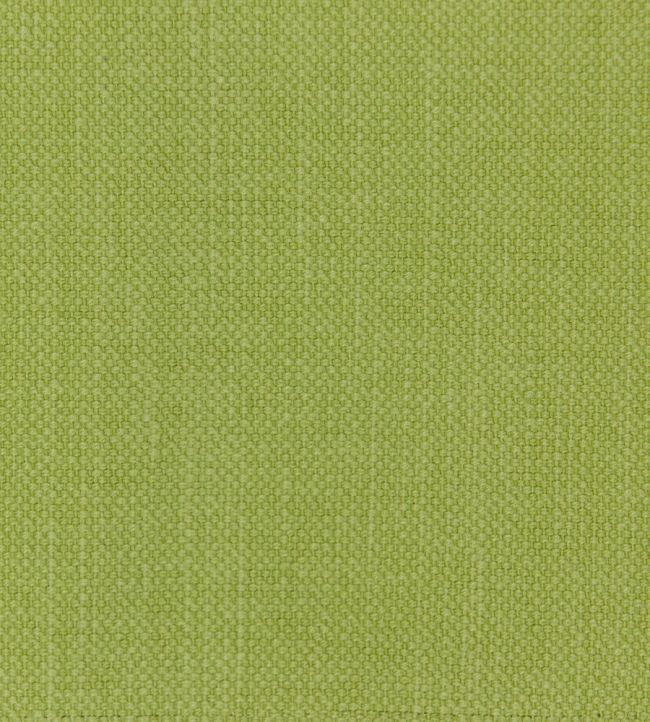 Linara Fabric by Romo Gooseberry
