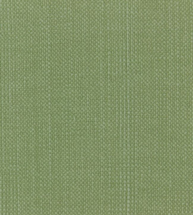 Linara Fabric by Romo Aloe