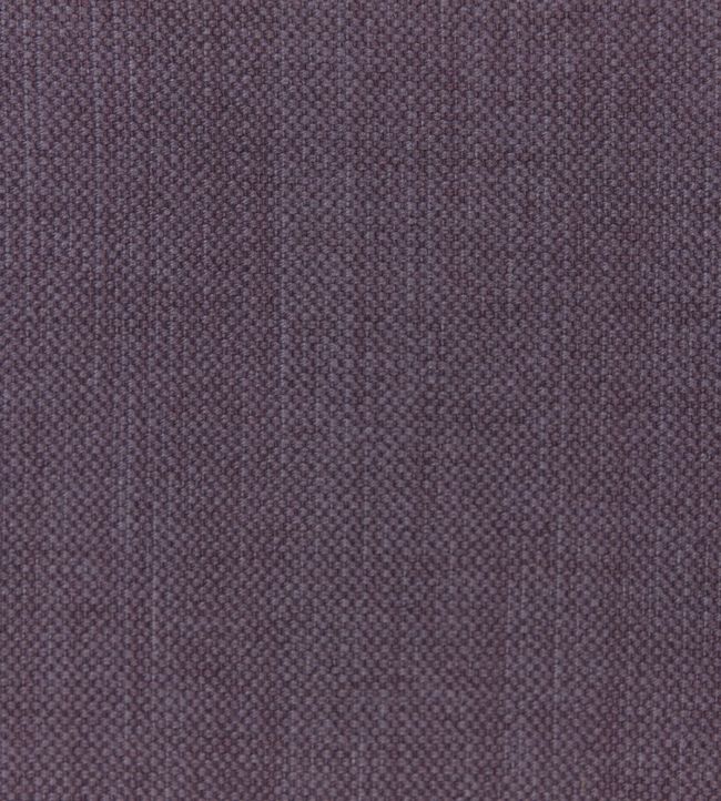 Linara Fabric by Romo Allium