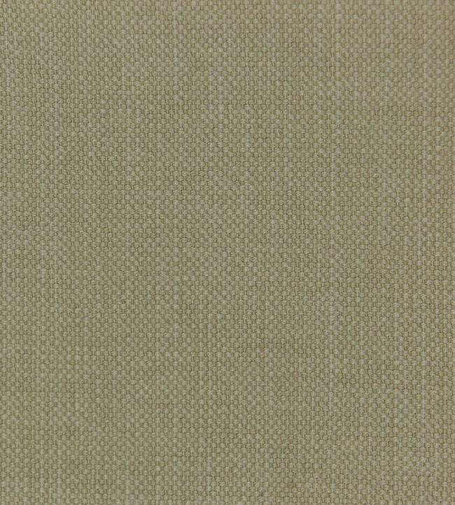 Linara Fabric by Romo Kelp
