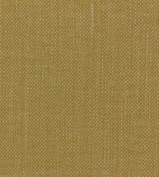 Linara Fabric by Romo Toffee