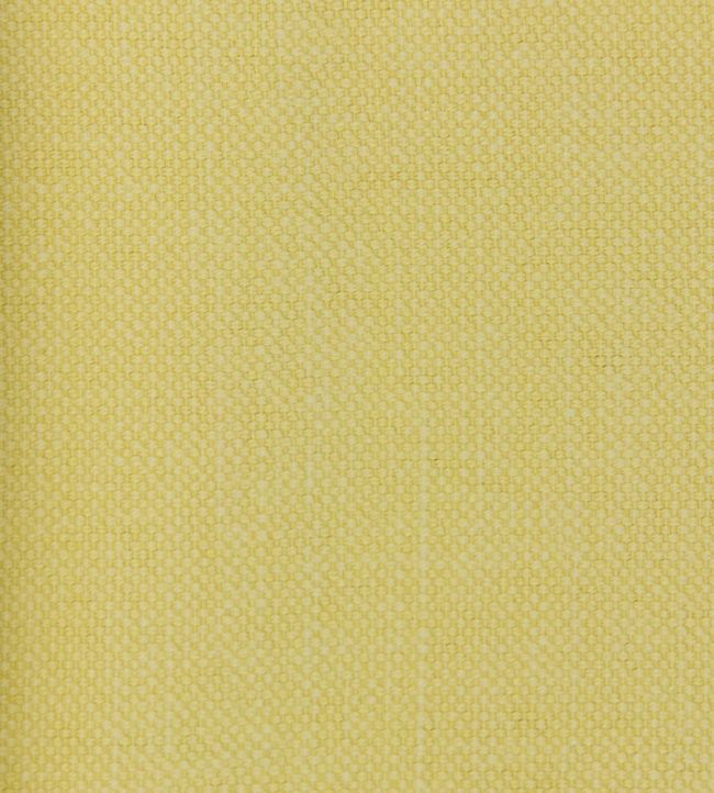 Linara Fabric by Romo Butternut