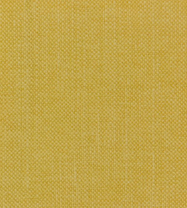 Linara Fabric by Romo Amber