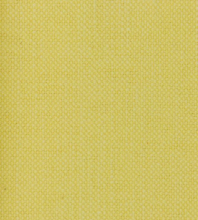 Linara Fabric by Romo Jonquil