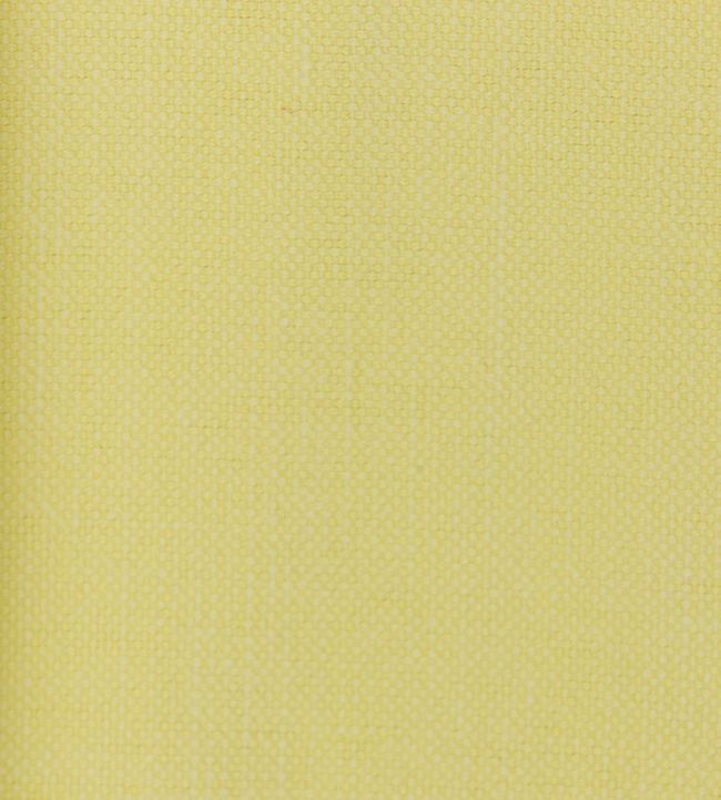 Linara FR Fabric by Romo Primrose