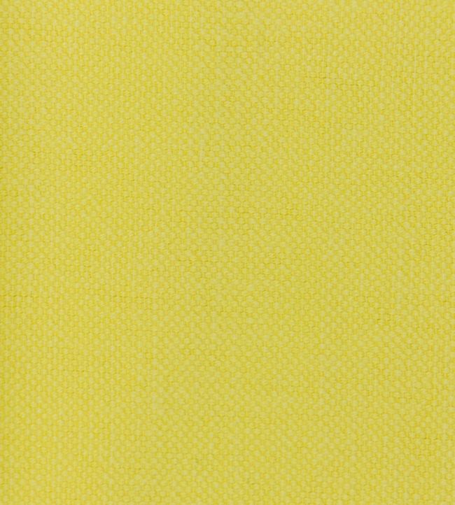 Linara Fabric by Romo Daffodil
