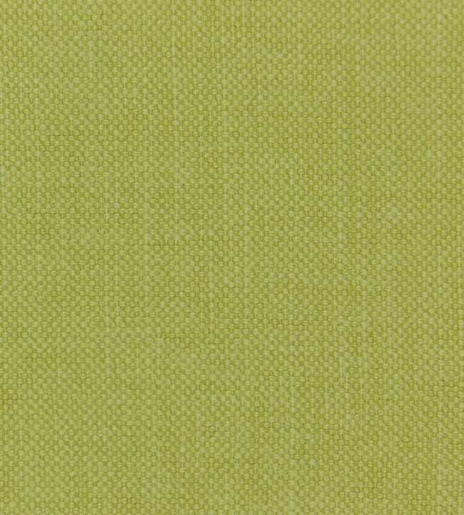 Linara FR Fabric by Romo Euphorbia