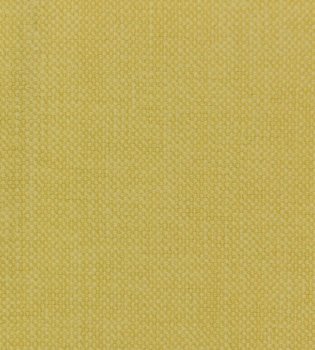Linara Fabric by Romo Quince