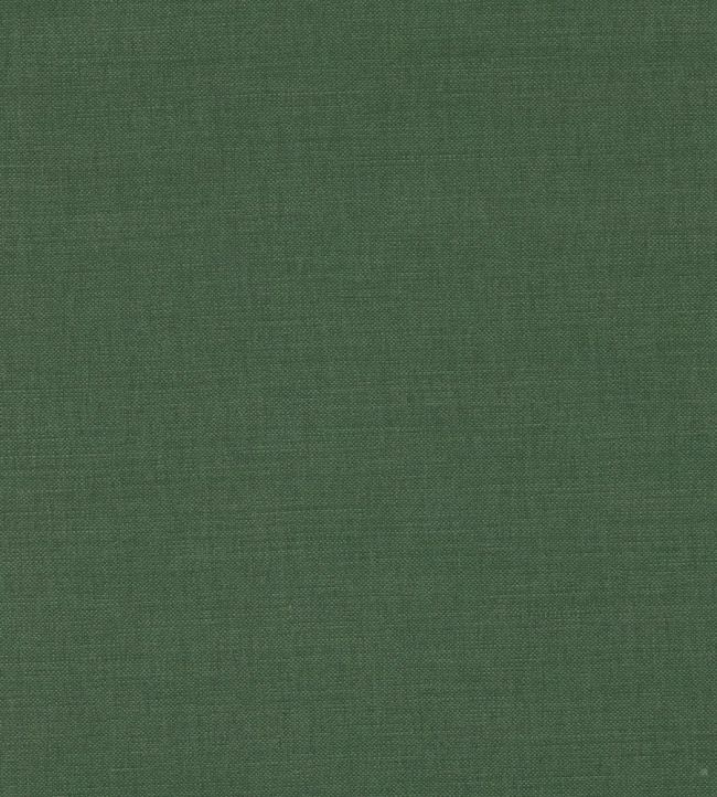 Linara Fabric by Romo Forest
