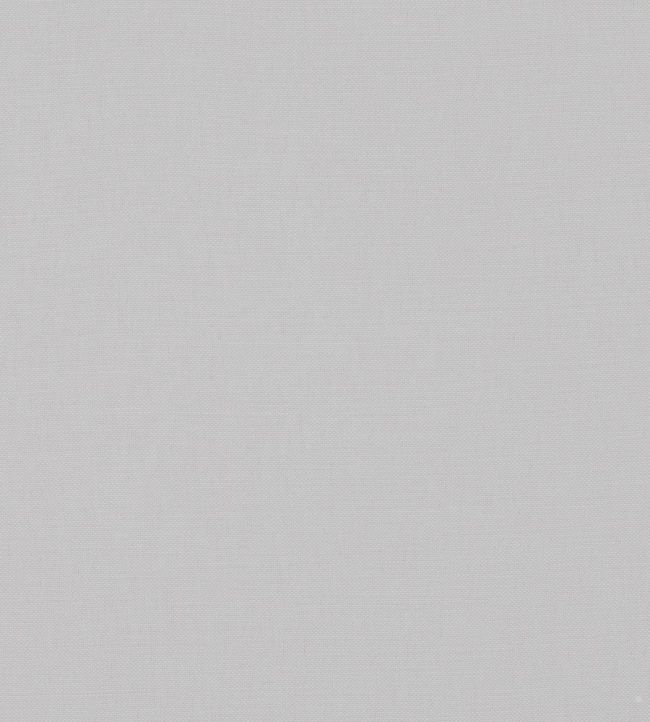Linara Fabric by Romo Brume