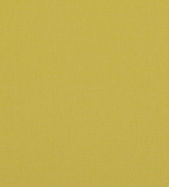 Linara Fabric by Romo Soleil