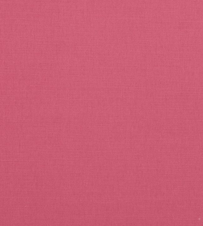 Linara FR Fabric by Romo Buddleia