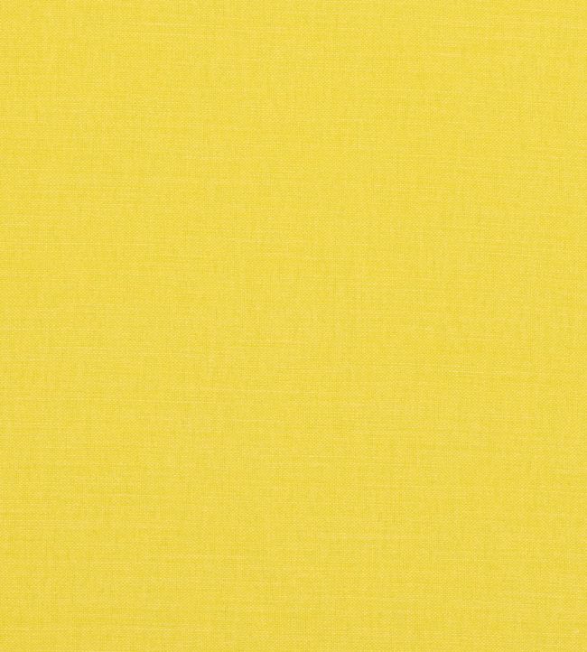 Linara Fabric by Romo Goldfinch