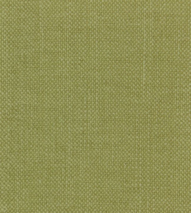 Linara FR Fabric by Romo Pistachio